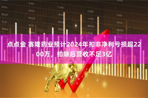 点点金 赛隆药业预计2024年扣非净利亏损超2200万，扣除后营收不足3亿