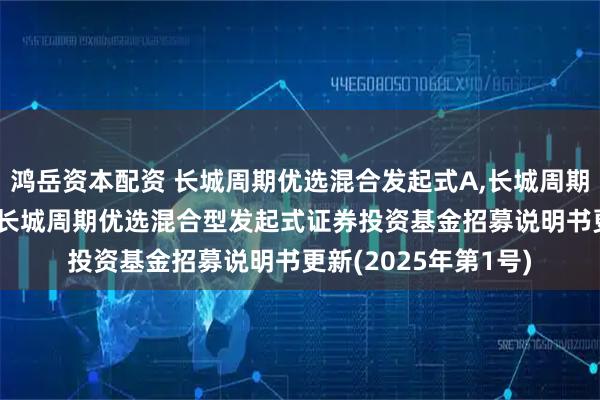 鸿岳资本配资 长城周期优选混合发起式A,长城周期优选混合发起式C: 长城周期优选混合型发起式证券投资基金招募说明书更新(2025年第1号)